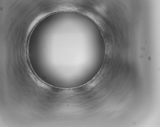 X0000073901094200608111124