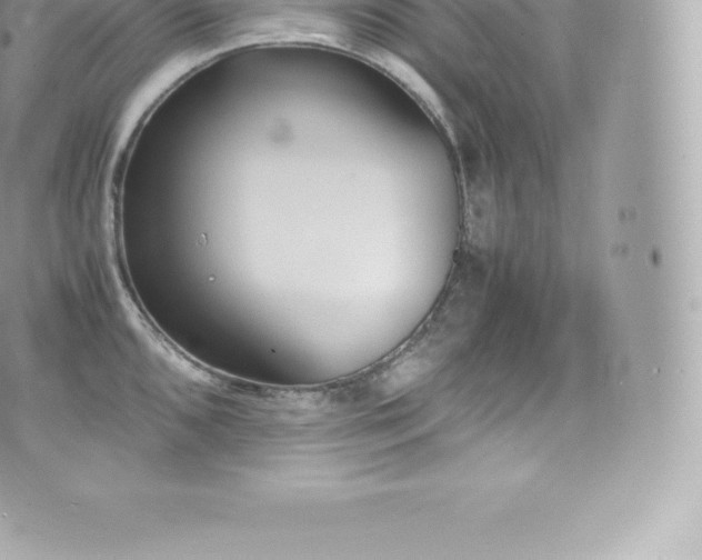 X0000073901096200608111124