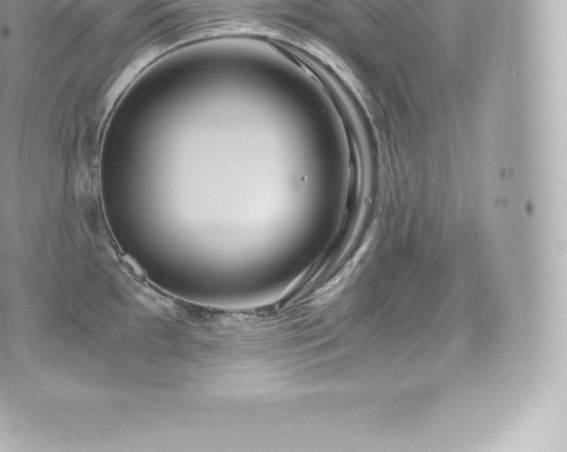 X0000073901097200608111124