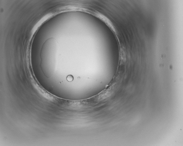 X0000073901098200608111124