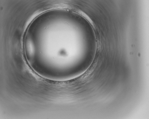 X0000073901099200608111124