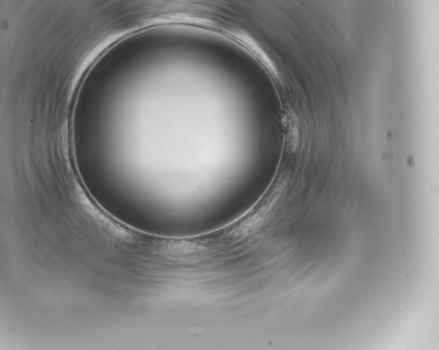 X0000073901100200608111124