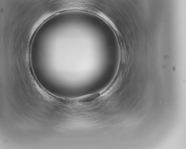 X0000073901101200608111124