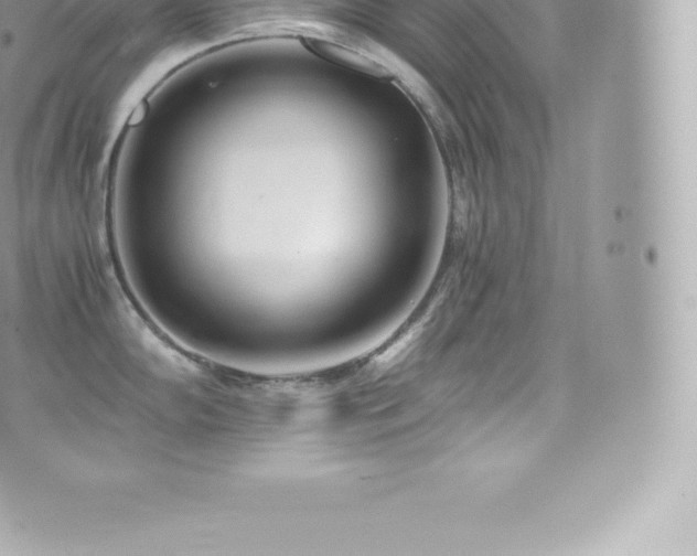 X0000073901102200608111124