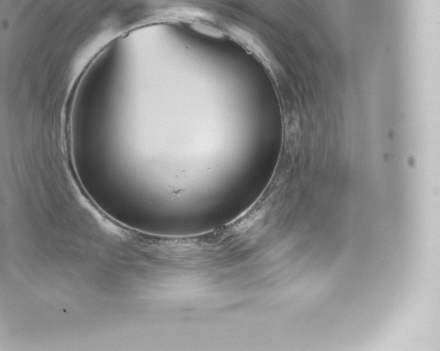 X0000073901103200608111124