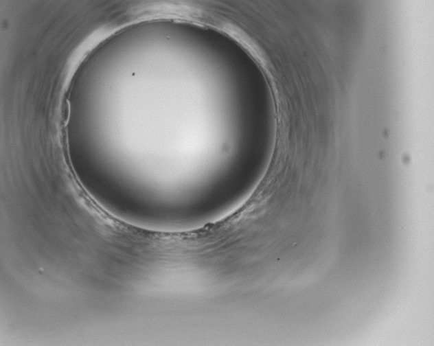 X0000073901104200608111124