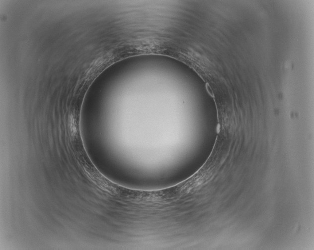 X0000073901106200608111123