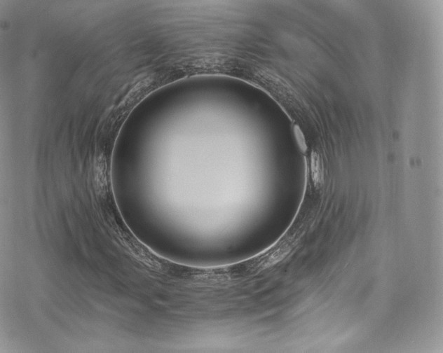 X0000073901107200608111123