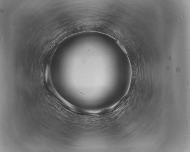 X0000073901109200608111123