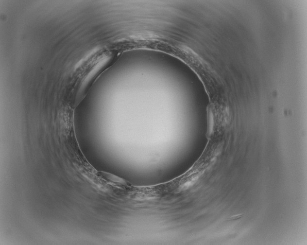 X0000073901110200608111123