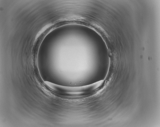 X0000073901114200608111123