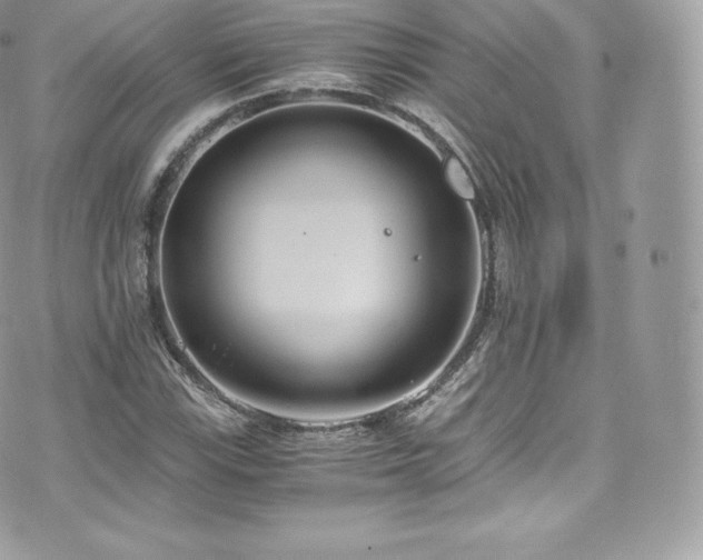 X0000073901115200608111123