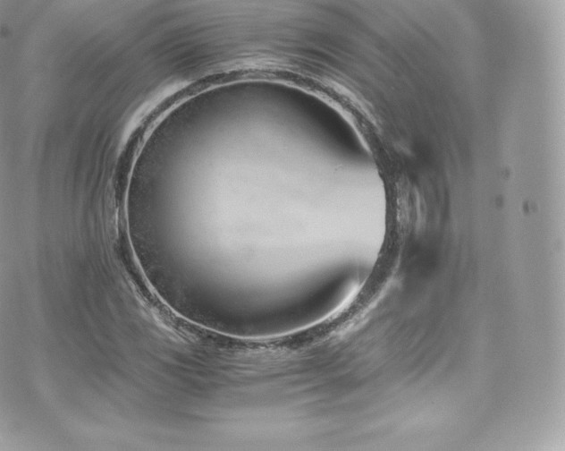 X0000073901117200608111123