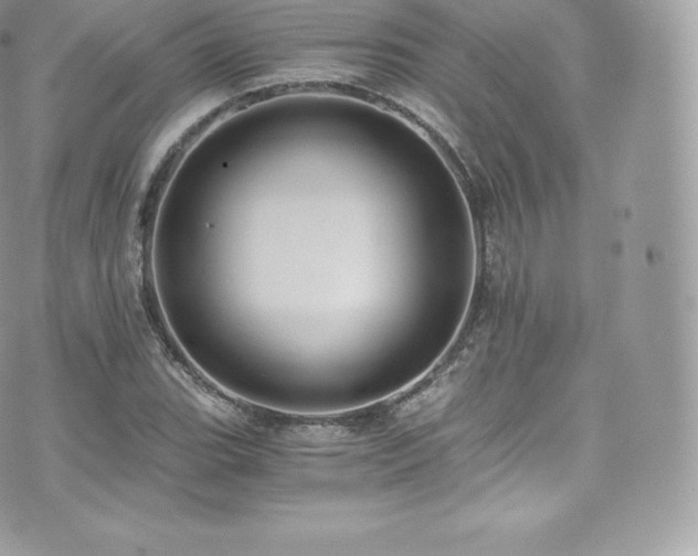 X0000073901119200608111123