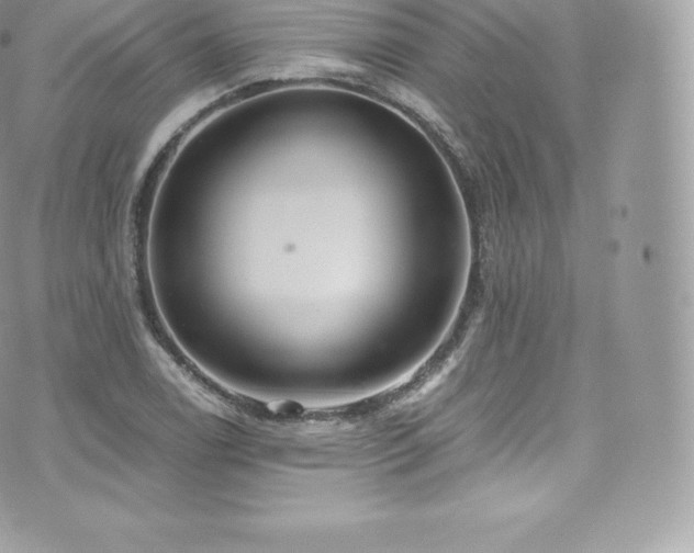 X0000073901122200608111123