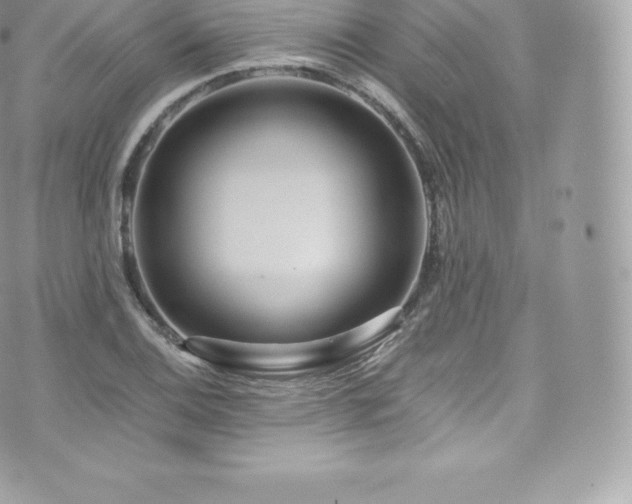 X0000073901124200608111123