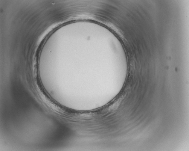 X0000073901126200608111123