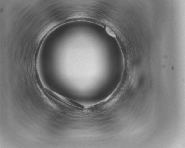 X0000073901129200608111123