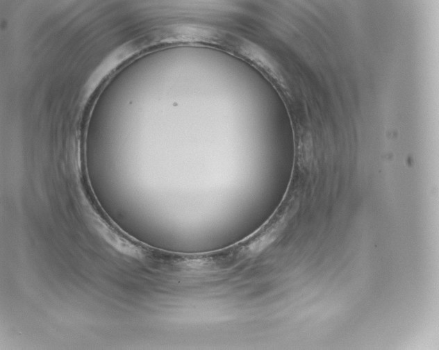 X0000073901130200608111123