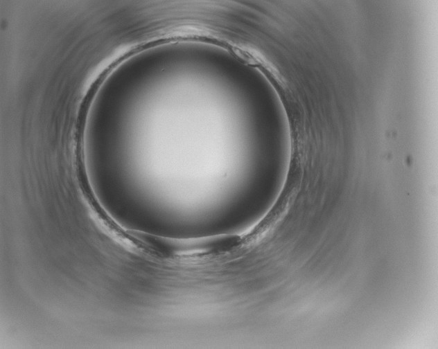 X0000073901134200608111123