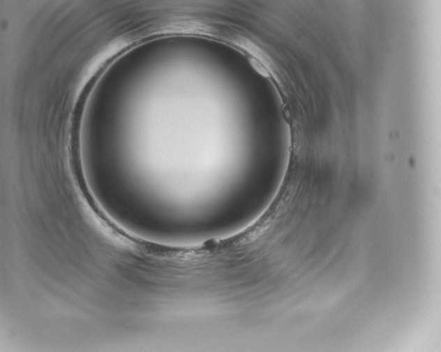 X0000073901139200608111123