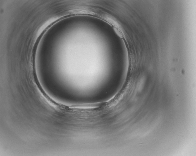 X0000073901141200608111123