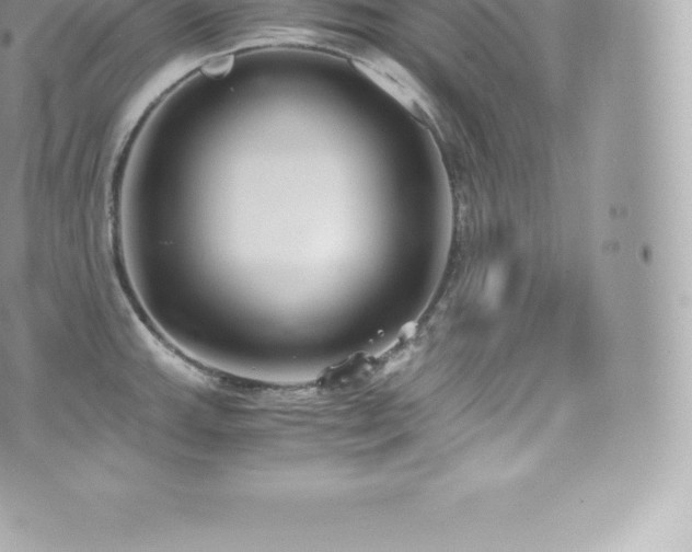 X0000073901143200608111124