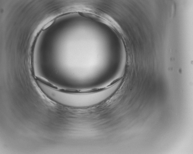 X0000073901144200608111124