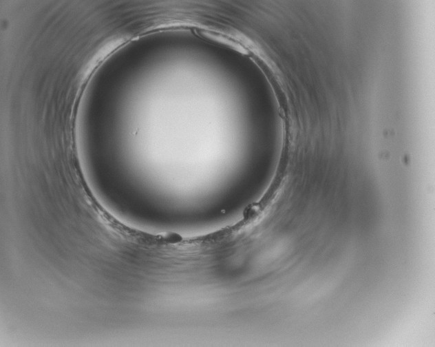 X0000073901145200608111124