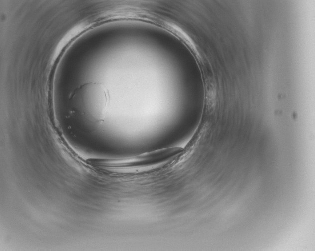 X0000073901146200608111124