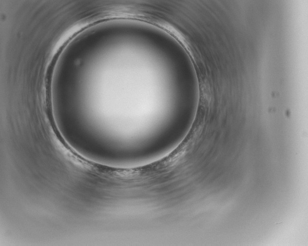 X0000073901147200608111124