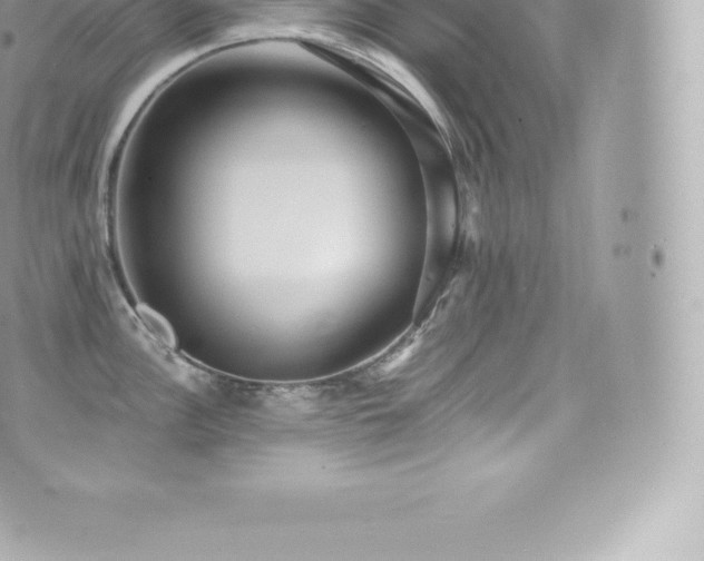 X0000073901148200608111124