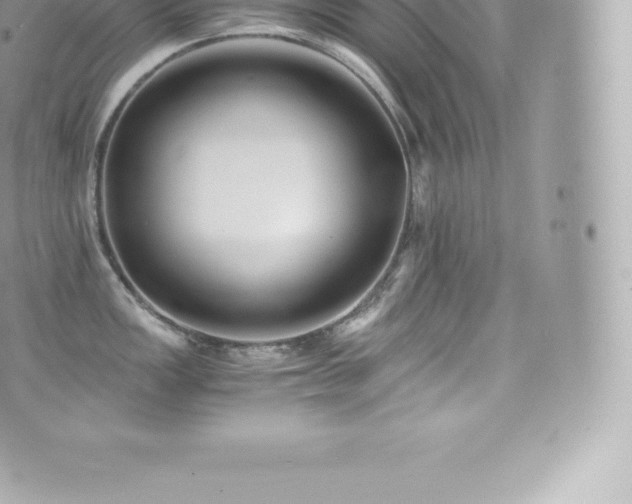 X0000073901149200608111124