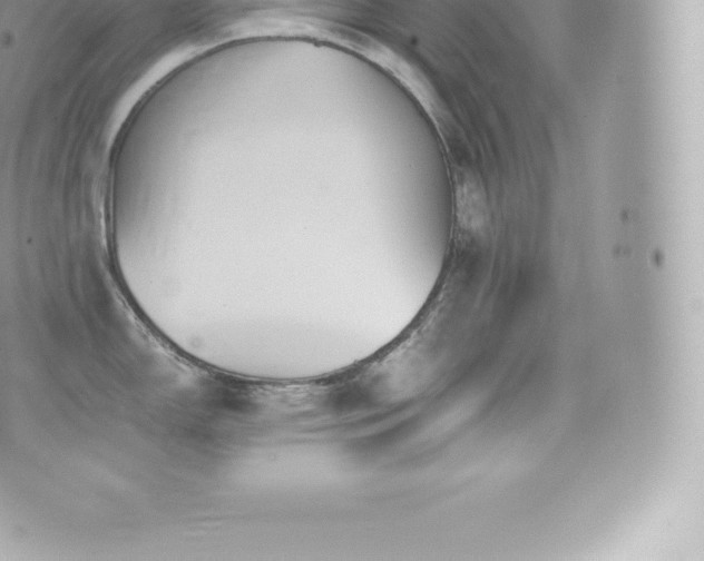 X0000073901150200608111124