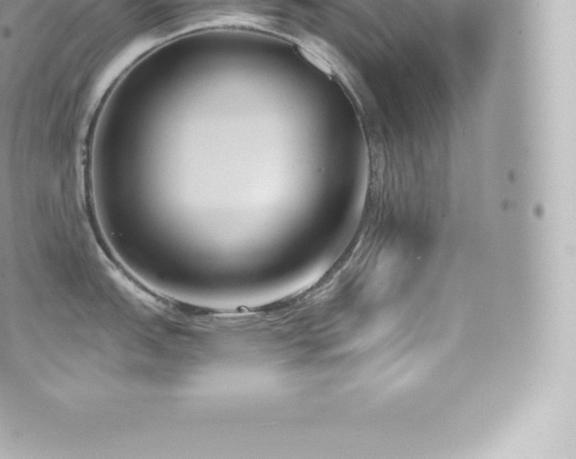 X0000073901151200608111124