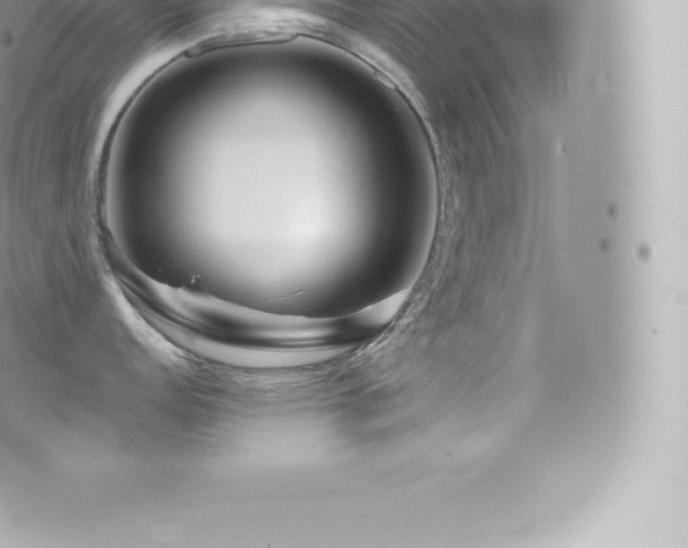 X0000073901152200608111124