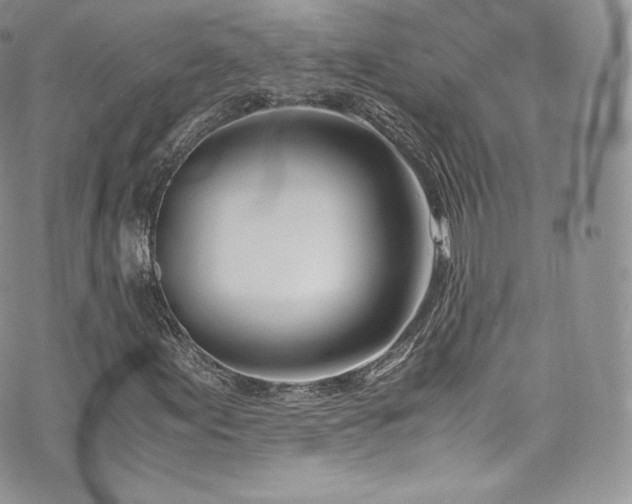 X0000073901155200608111123