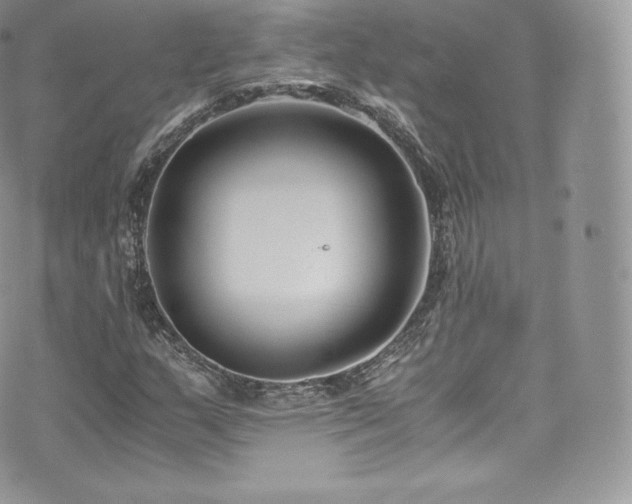 X0000073901159200608111123