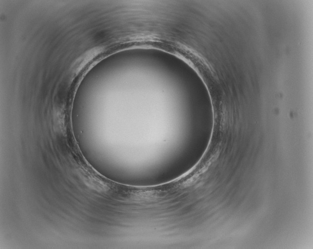 X0000073901162200608111123