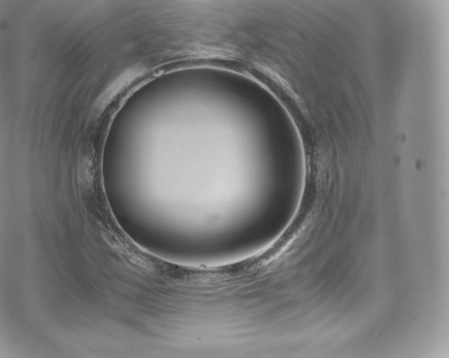 X0000073901163200608111123