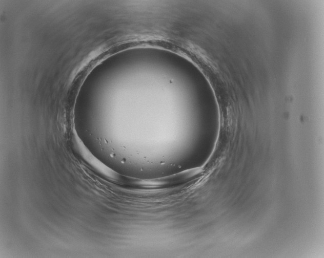 X0000073901165200608111123