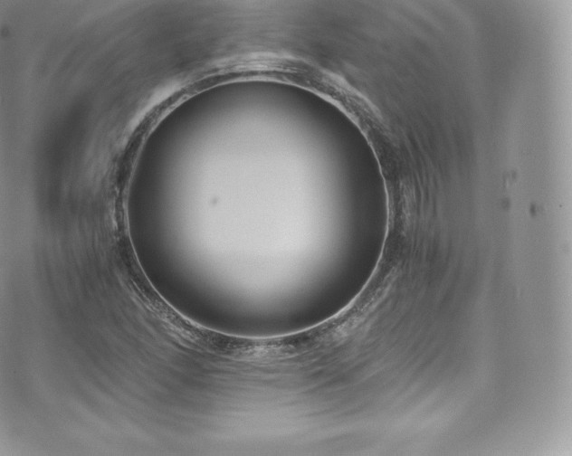 X0000073901166200608111123