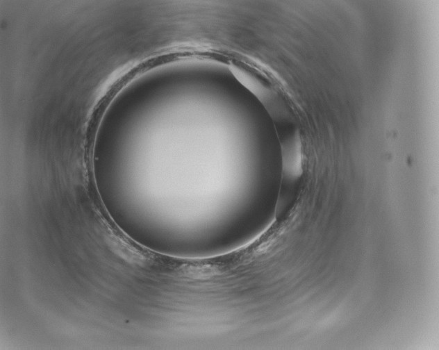 X0000073901168200608111123