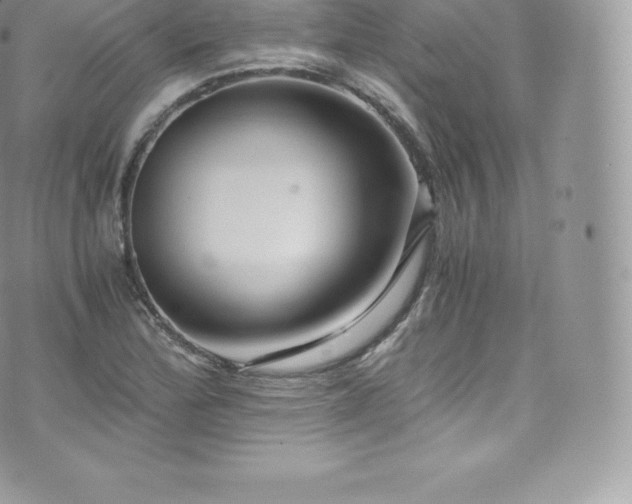 X0000073901172200608111123