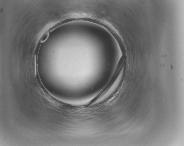 X0000073901175200608111122