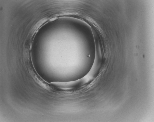 X0000073901177200608111122