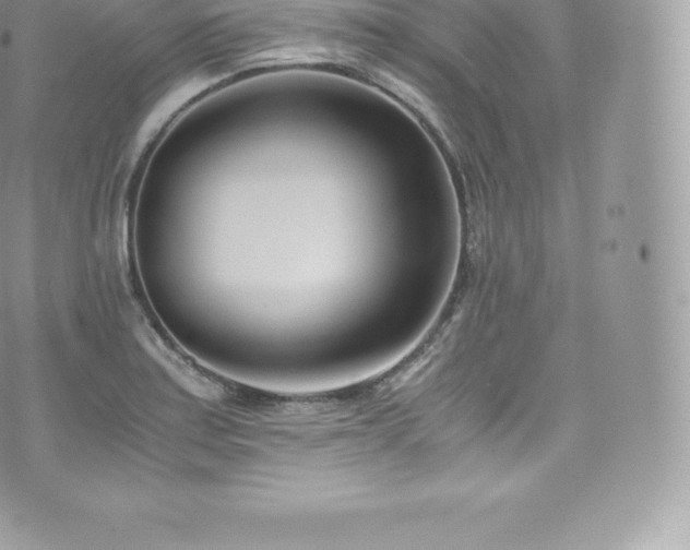 X0000073901179200608111122