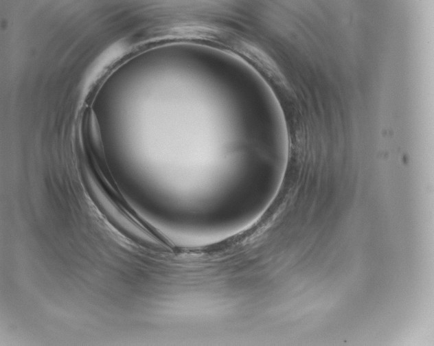 X0000073901180200608111122