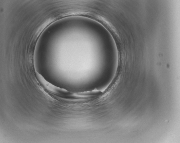 X0000073901185200608111122