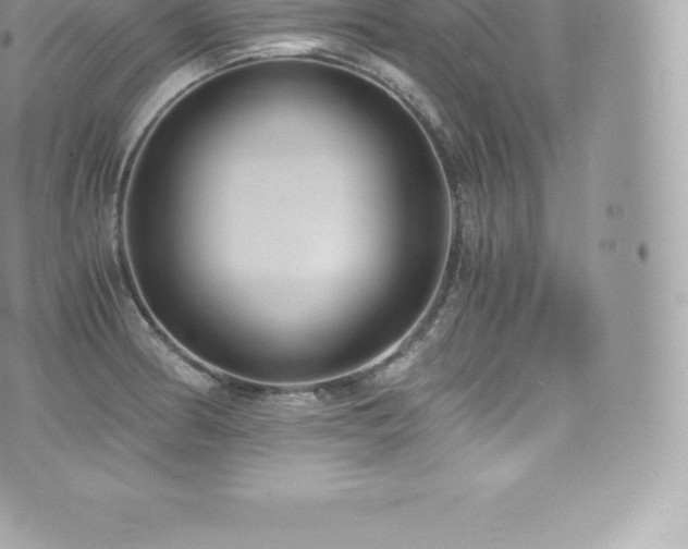 X0000073901186200608111122